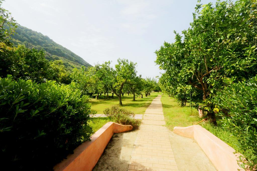 파르겔리아 Residenza La Vigna 아파트 호텔 외부 사진